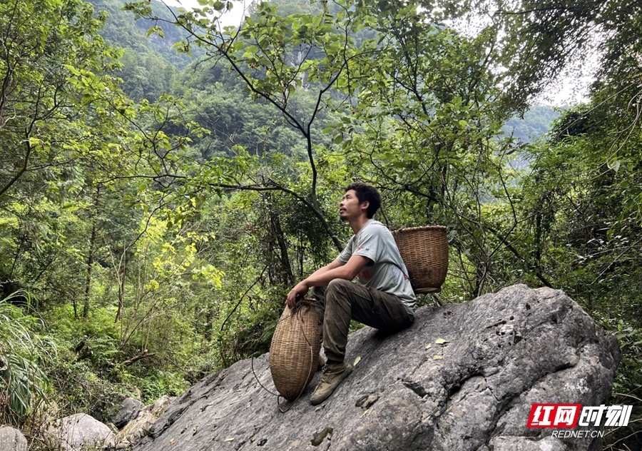 展示与推广, 进一步扩大 展示与推广, 进一步扩大