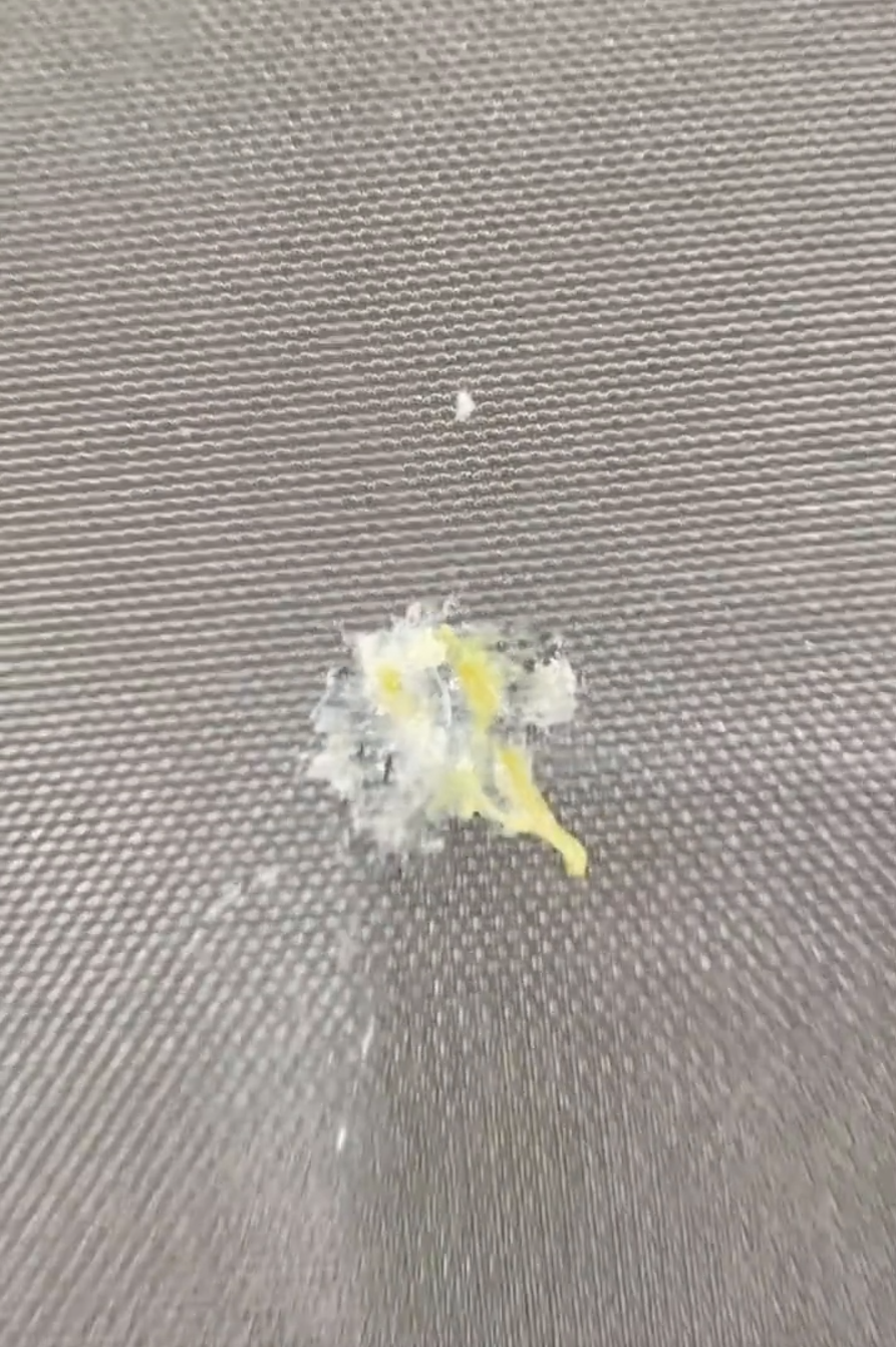 IApMA, com, 罪魁祸首 IApMA, com, 罪魁祸首